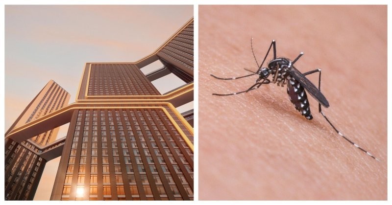 Почему считается, что комары не залетают на верхние этажи (4 фото)