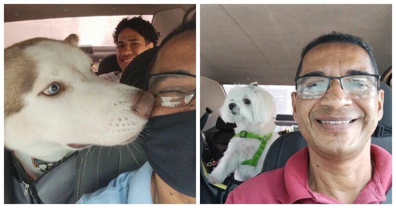 Водитель такси для домашних животных делает селфи с пассажирами (41 фото)