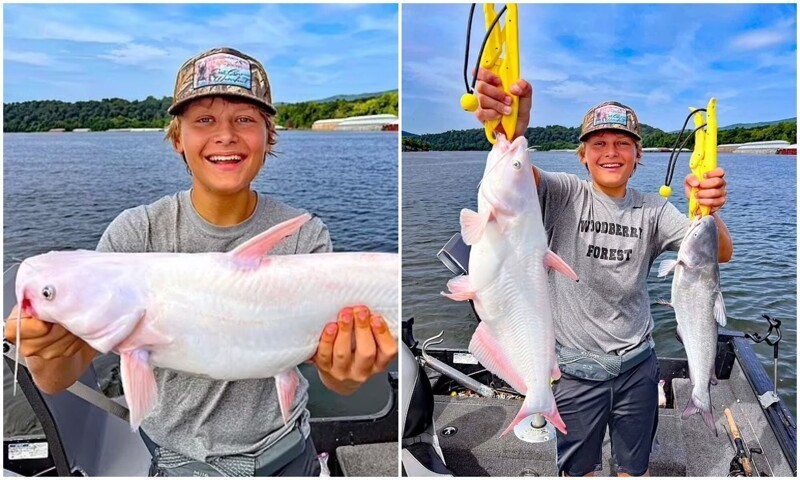 15-летний рыбак вытащил из воды редкую рыбу-альбиноса (4 фото)