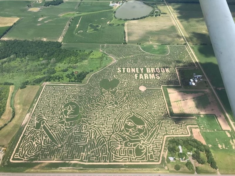 На кукурузном поле появился лабиринт, претендующий на мировой рекорд (7 фото)