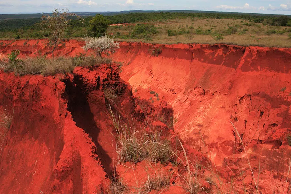 Why is the soil bright red in the tropics? (3 photos) » Nevsedoma