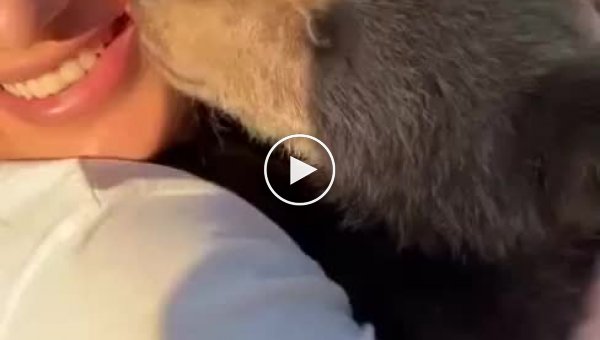 В Грозном медвежонок укусил девушку за лицо