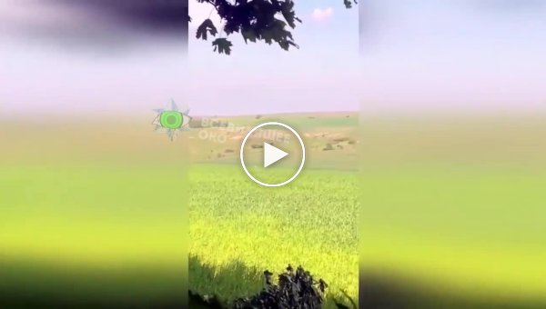 Появилось видео охоты на российскую птичку ка-52