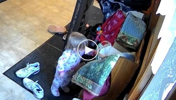 Маленькая девочка стащила деньги из сумки бабушки