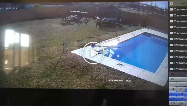 Мальчик спас неосторожного щенка из бассейна