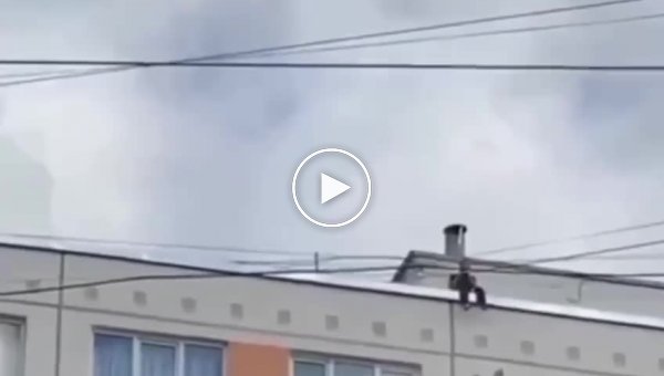 В Санкт-Петербурге пьяный парень перелез с одного дома на другой по проводам на спор