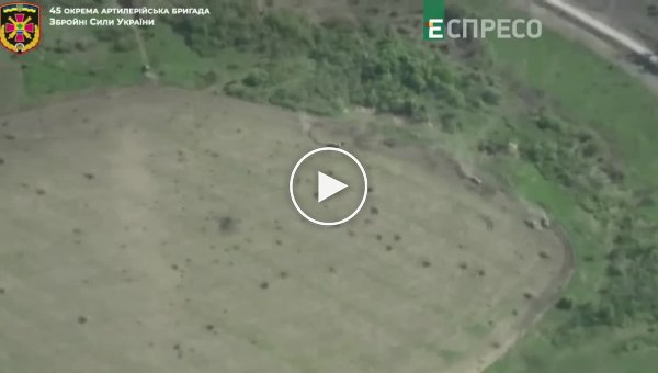 Уничтожения тигра в Харьковской области