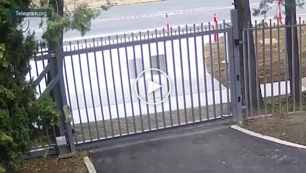 Этот кенгуру в Австралии перешел к делу и пытался штурмом взять посольство рашки
