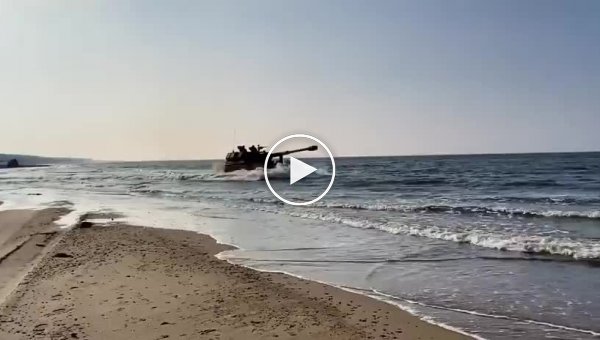 Польские крабы катаются по пляжу