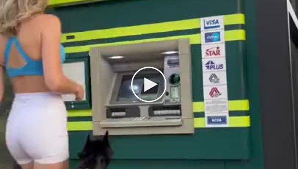 Пес охраняет девушку у банкомата