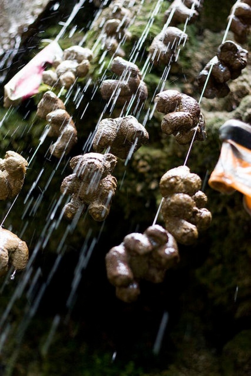 Mysterious Waterfall That turns Everything To Stone 10 Photos 