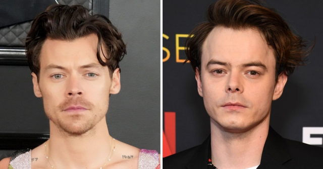 Famous men who look alike and could play siblings 13 photos