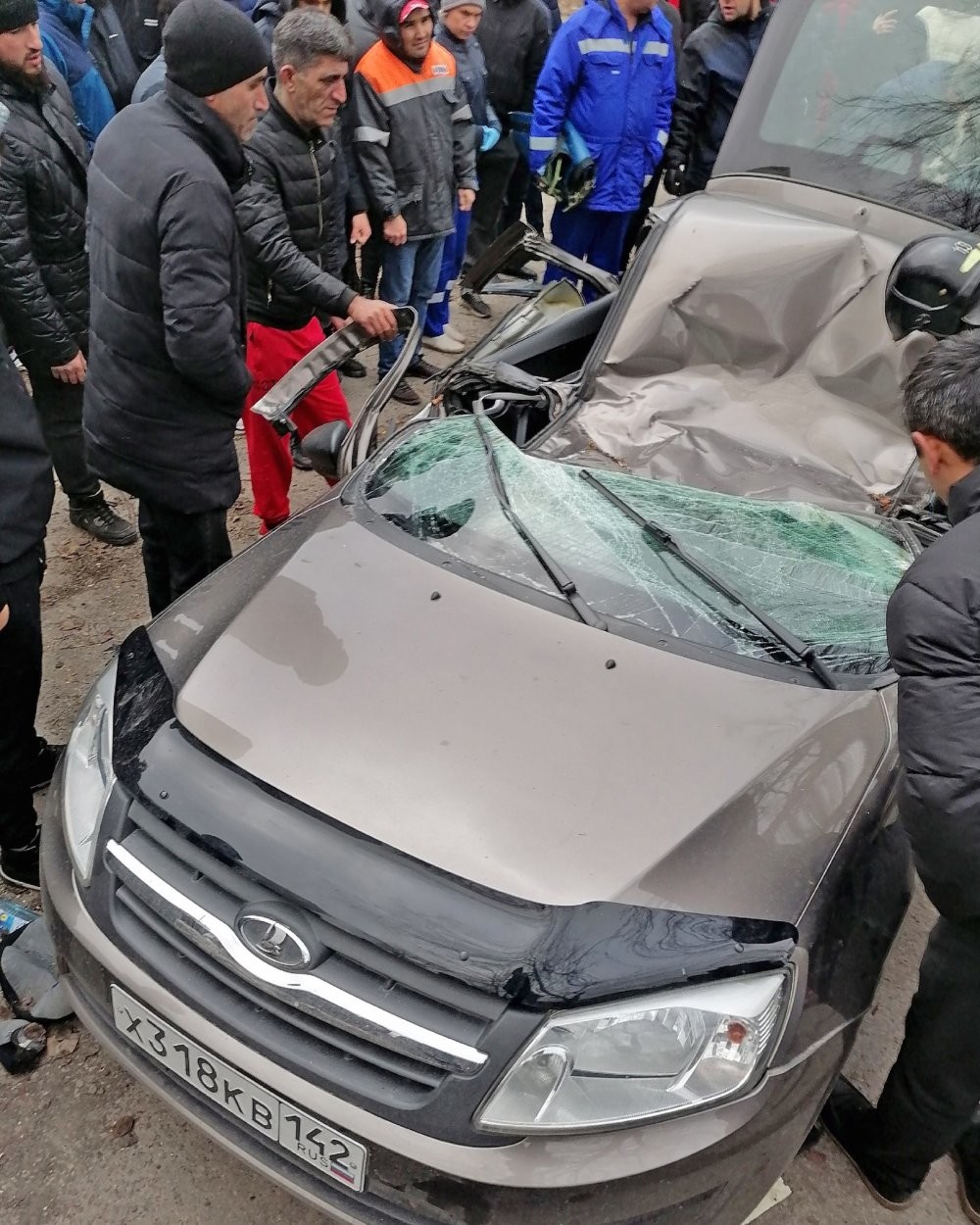 Упавшее дерево раздавило машину с людьми (5 фото + 1 видео) » Невседома