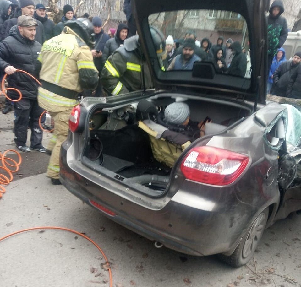 Упавшее дерево раздавило машину с людьми (5 фото + 1 видео) » Невседома