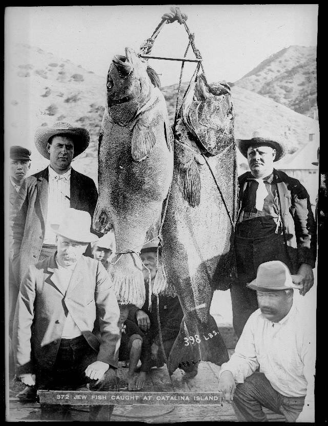 30 retro photos of fishermen with big catches (31 photos) » Nevsedoma