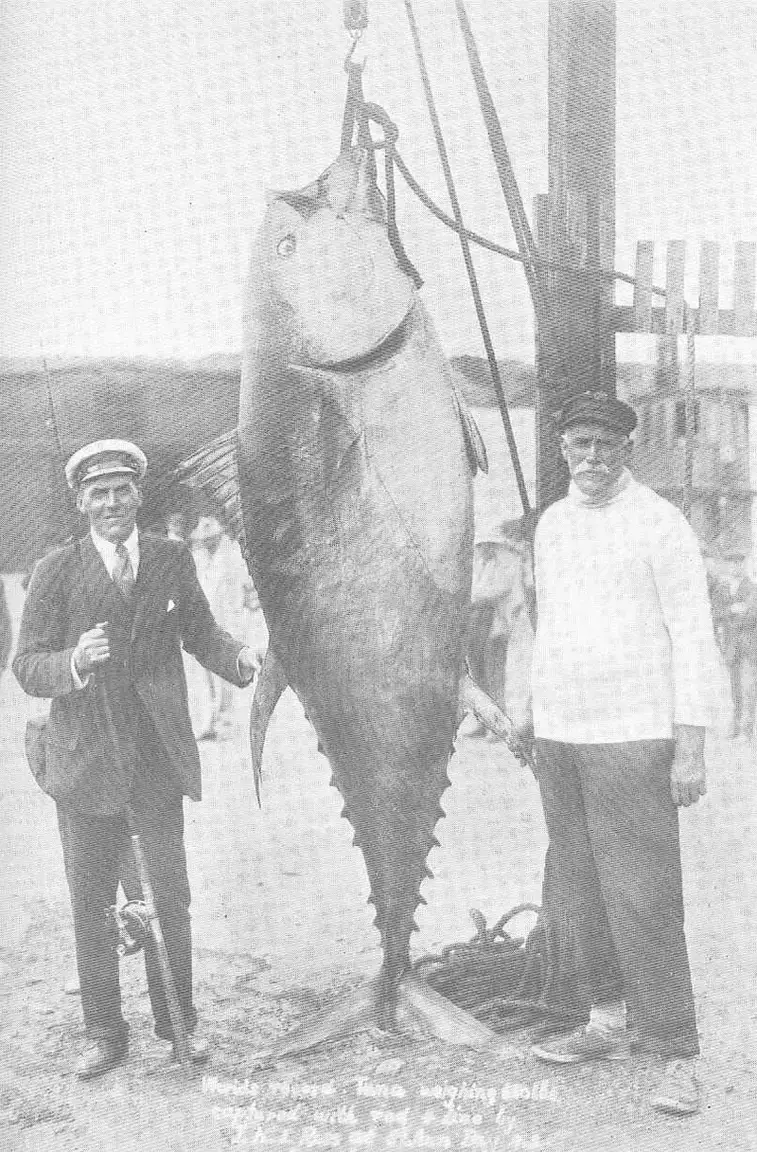30 retro photos of fishermen with big catches (31 photos) » Nevsedoma