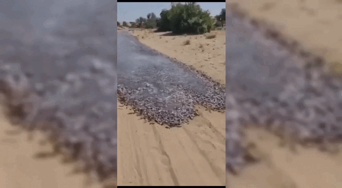 Порно видео девушки купаются голыми в реке