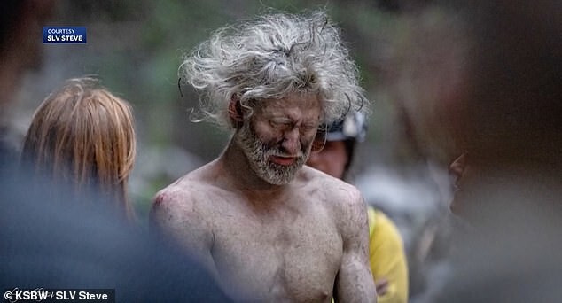Молодые тюленята заблудились в степи в Казахстане Молодые тюленята заблудились в степи в Казахстане