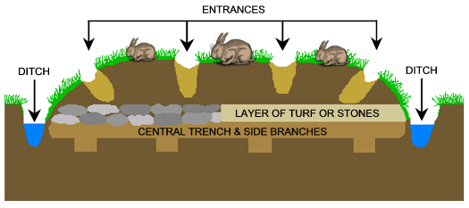 Olden Days Rabbit Catching The Warrens — the underground rabbit cities of the Middle Ages (11 ...