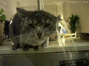 услуга приватного банкинга в дубае