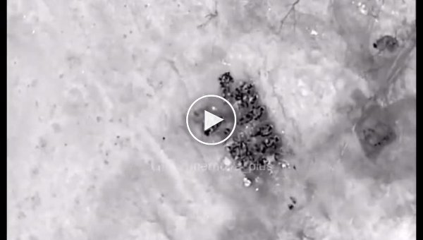 Чем больше спит вместе людей, тем больше шансов, что будет подарок