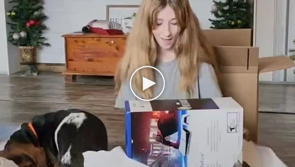 Девочке на Рождество подарили PlayStation 5. Ее пес подарок не оценил