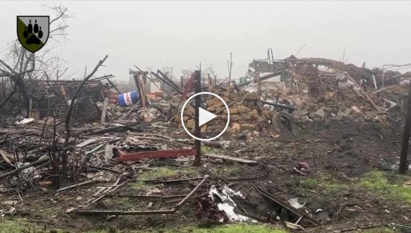 Безлюдное село Работино__ жуткие кадры уничтоженных оккупантами домов на Запорожье