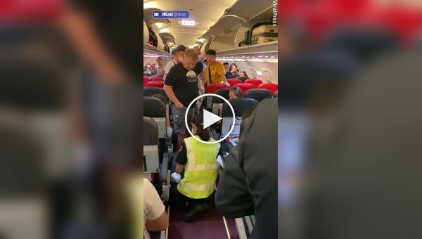 Змея пробралась в самолет и напугала пассажиров