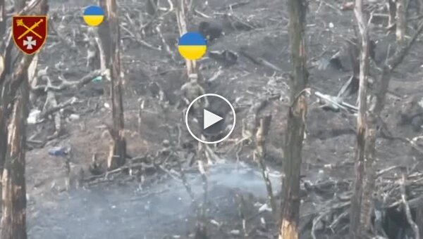 Украинские воины взяли в плен 12 оккупантов на запорожском направлении