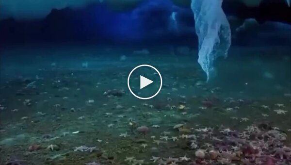 Палец смерти - самая необычная форма морского льда