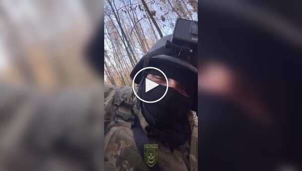 Сибирский батальон призвал россиян игнорировать выборы
