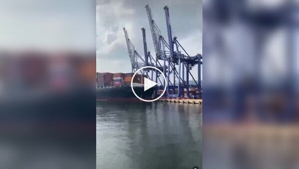 Контейнеровоз обрушил три крана в турецком порту