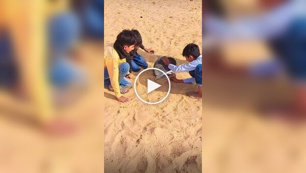 Дети развлекаются на пляже