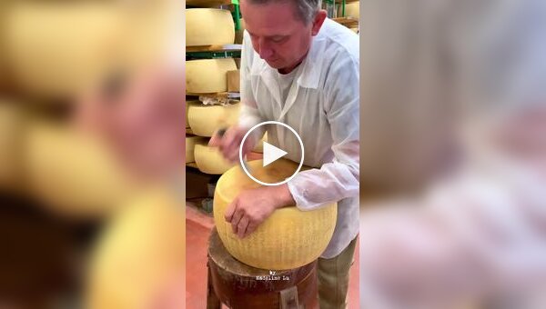 Как правильно разделывать головку сыра