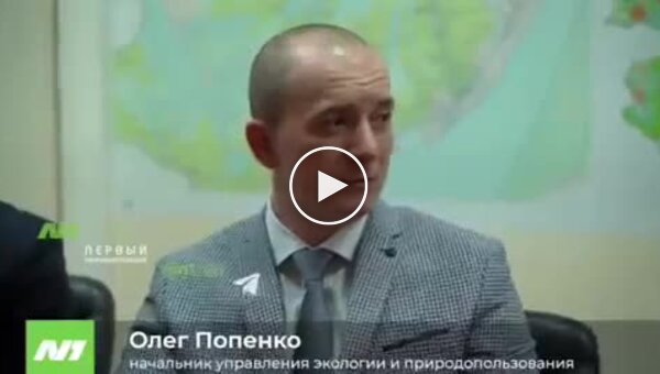Чиновник из РФ предлагает отапливать жилье россиян теплом от сжигания тел в крематориях