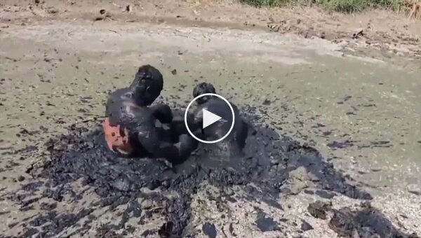 Мужчины устроили забавную битву в грязи