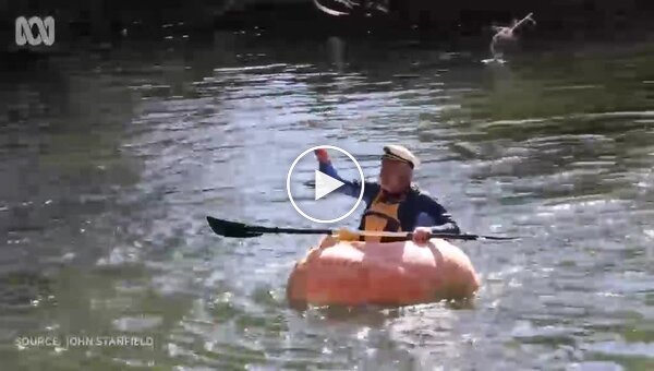В Австралии мужчина сделал себе лодку из тыквы и отправился в плаванье