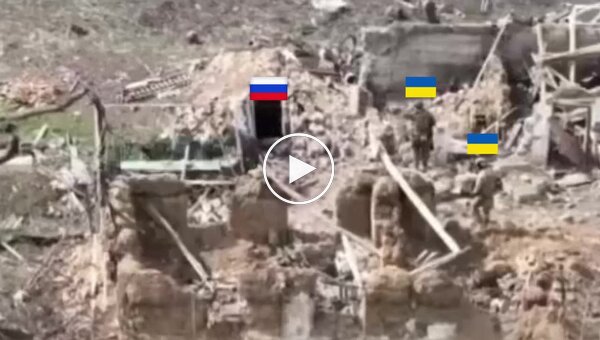 Украинские военные зачищают подвал с российскими бойцами на окраине села Работино в Запорожской области