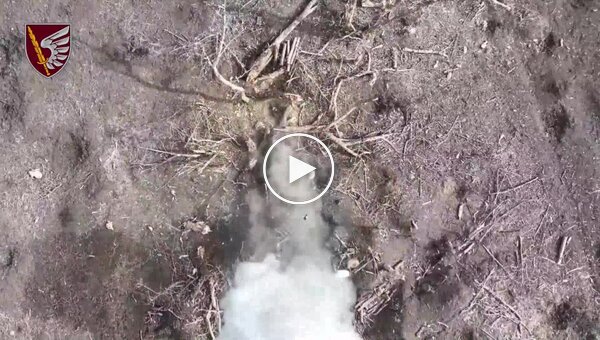 Бойцы 79-й ОДШБр сбросами с дронов ликвидируют оккупантов, атакующих в районе Новомихайловки
