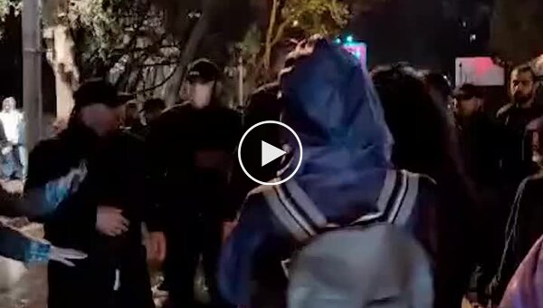 В Грузии группа титушек напала на протестующих против закона об иноагентах