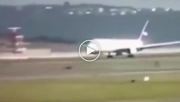 Аварийная посадка Боинга без переднего шасси попала на видео