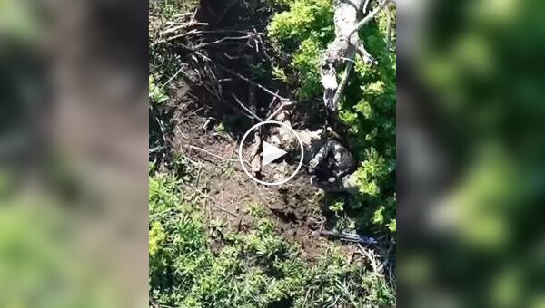 Украинские дроны сбрасывают гранаты и ВОГи на российских военных в Донецкой области