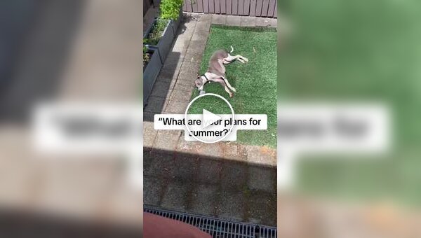 Ваши планы на лето